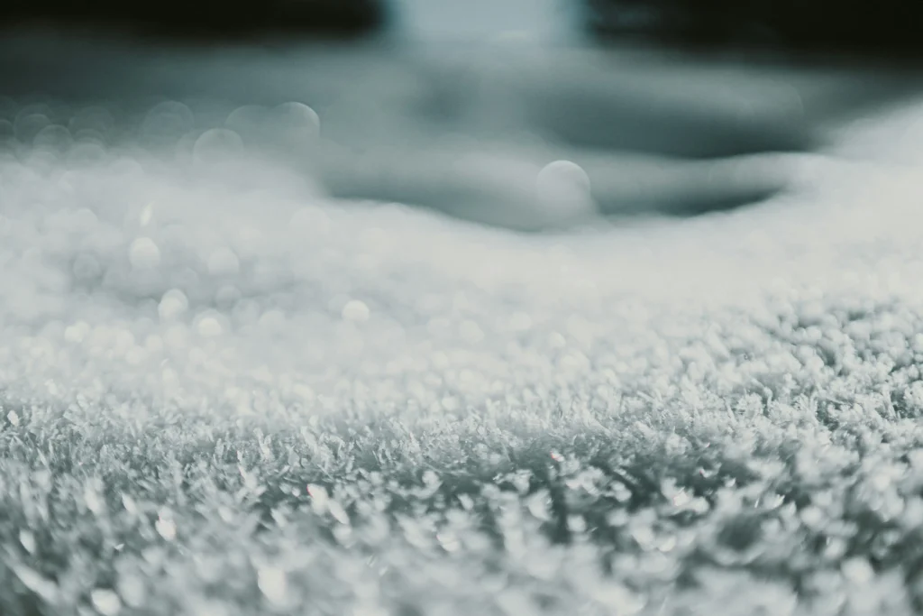 A high-traffic home's carpet